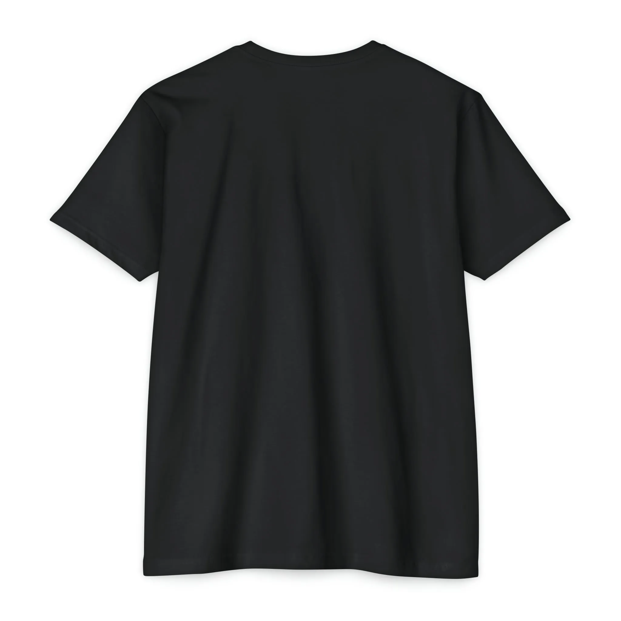Admit it. Pickleball T-Shirt • Unisex