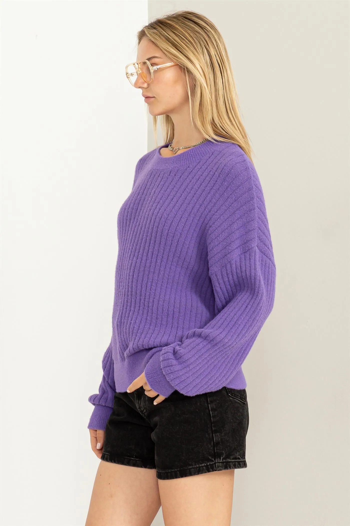 DZ23F783-Crew Neck Ribbed Sweater